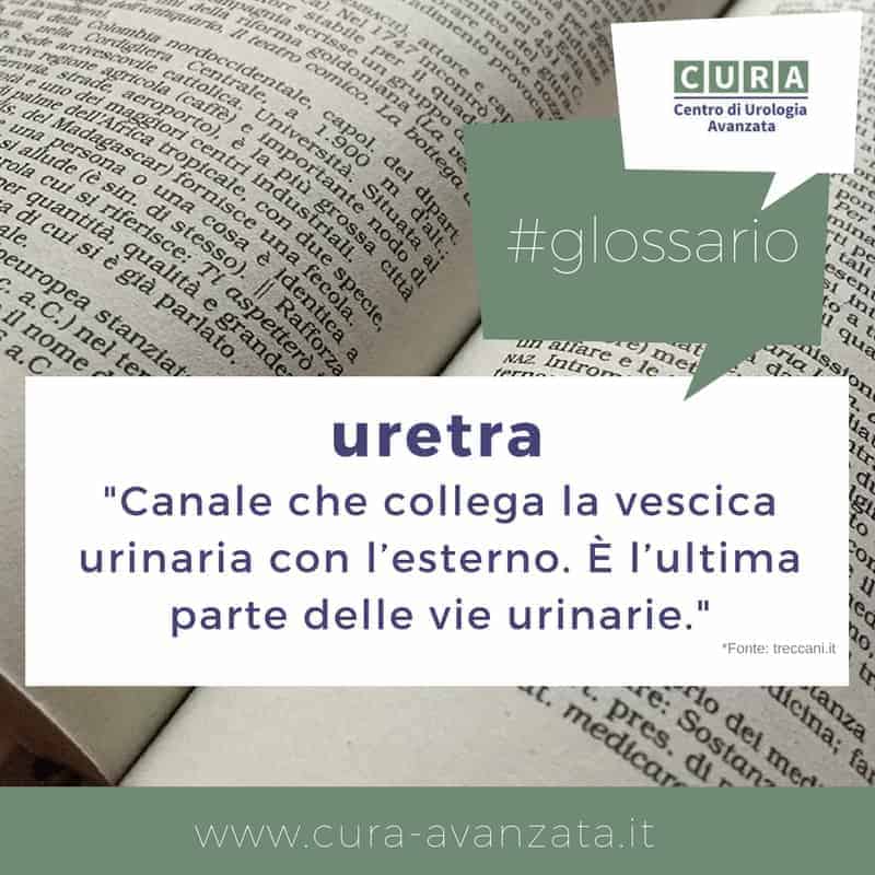 uretra