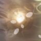 Aumenta l’infertilità maschile, cala il numero degli spermatozoi