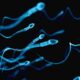 Andrologo per azoospermia
